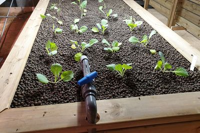 Amberg Engineering - Untertagbau - Spezialtiefbau - Tunnelbau - Ingenieurbau - Metro - Bahn - Strasse - Versorgungstunnel - Unterirdische Räume - Bauwerkserhaltung - Planung - Design - Statik - Projektmanagement - Geotechnik - BIM - Aerodynamik - Lüftung - Risiko Sicherheitsmanagement - Referenzen - Projekte - Gotthard Basistunnel - Brenner Basistunnel - Albula Tunnel - Metro Bukarest - Flughafen Montreal - Chip Fabrik - Versuchsstollen - Hochgeschwindigkeitszug - Versorgungseinrichtungen - Nuklearer Abfall - Amberg Engineering - Schweiz - Management Team - Marktverantwortliche - Nachhaltigkeit - Fachverbände - Karriere - Jobs - News - Events - Company Engineering - Underground construction - Specialist deep construction - Tunneling - Civil engineering - Metro - Railway - Road - Utility tunnel - Subterranean spaces - Structural maintenance - Planning - Design - Statics - Project management - Geotechnics - BIM - Aerodynamics - Ventilation - Risk & Safety Management - References - Projects - Gotthard Base Tunnel - Brenner Base Tunnel - Albula Tunnel - Bucharest Metro - Montreal Airport - Underground chip factory - Test gallery - High-speed train - Utility facilities - Nuclear waste - Amberg Engineering - Switzerland - Management Team - Market Managers - Sustainability - Associations - Careers - Jobs - News - Events